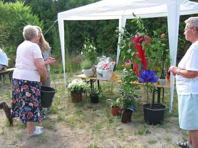 richtfest am 23 bautag viele sch 246 ne geschenke und liebe richtfest am 23 bautag viele sch 246 ne geschenke und liebe